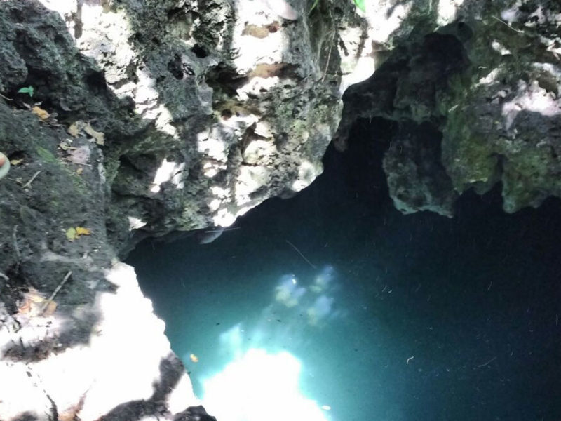 Terreno en venta ruta de los cenotes, Leona Vicario Quintana Roo