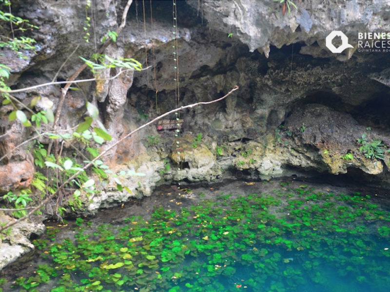 Terreno-de-1000-Hectáreas-ubicado-en-la-Ruta-de-Los-Cenotes-Puerto-Morelos-Inmobiliaria-Bienes-Raíces-Quintana-Roo-Real-Estate1