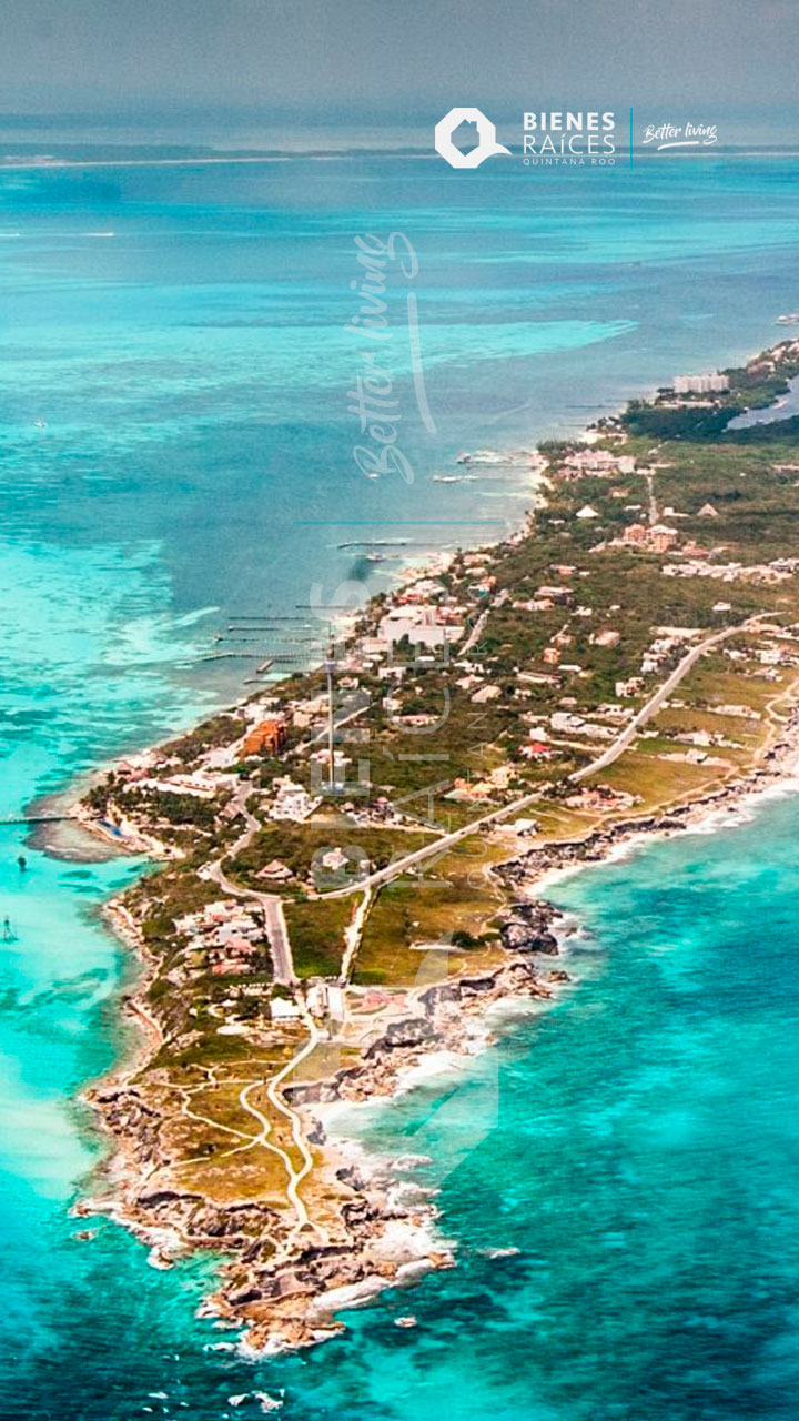 Isla-Mujeres-y-la-tortuga-marina-Agencia-Inmobiliaria-Bienes-Raíces-Quintana-Roo-Real-Estate