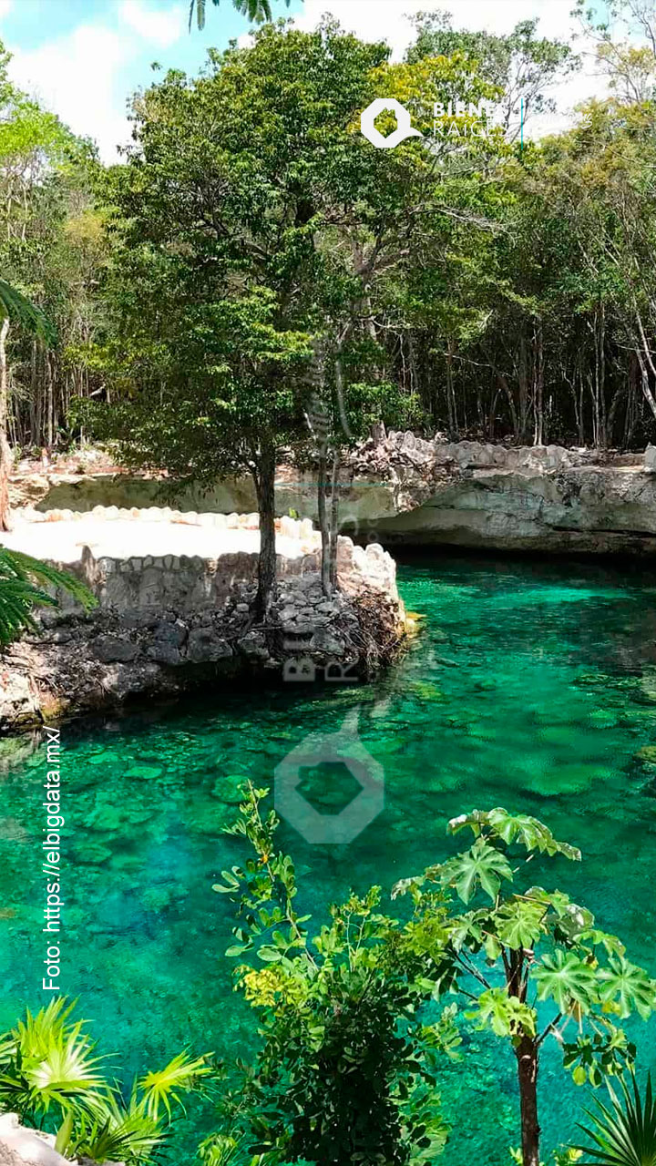 Cenotes-Casa-Tortuga-Agencia-Inmobiliaria-Bienes-Raíces-Quintana-Roo-Real-Estate