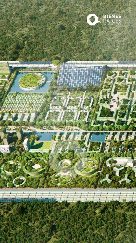 Smart Forest Cancún Agencia Inmobiliaria Bienes Raíces Quintana Roo Real Estate