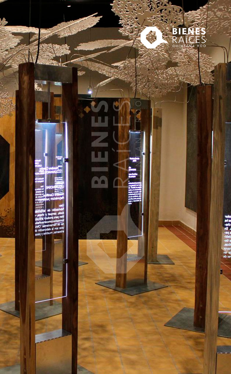 Museo-de-la-Ciudad-Chetumal-Agencia-Inmobiliaria-Bienes-Raices-Quintana-Roo-Real-EstateV