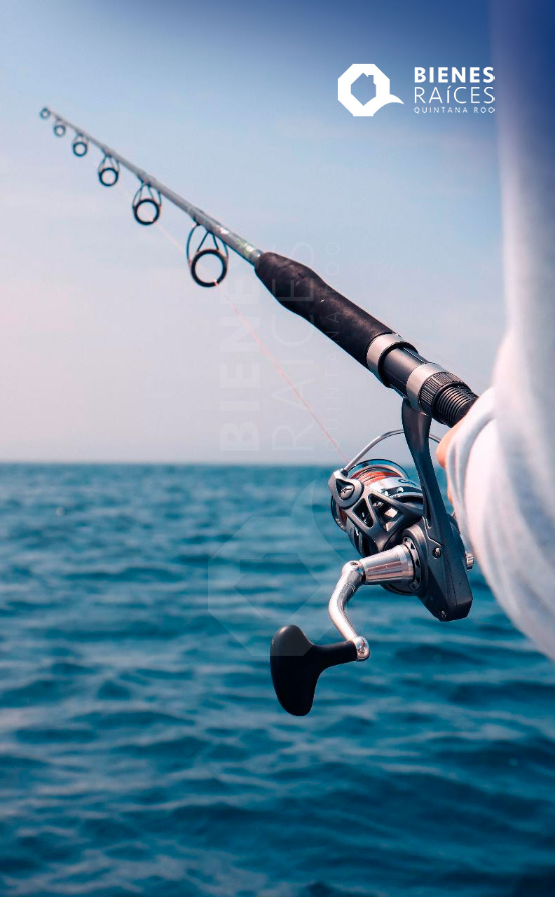 Pesca-deportiva-sport-fishing-Agencia-Inmobiliaria-Bienes-Raices-Quintana-Roo-Real-Estate-V1