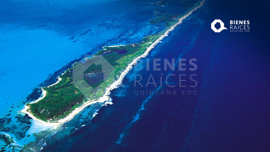 ISLA-CONTOY-oasis-del-Caribe-Mexicano-Agencia-Inmobiliaria-Bienes-Raices-Quintana-Roo-Real-Estate-V2