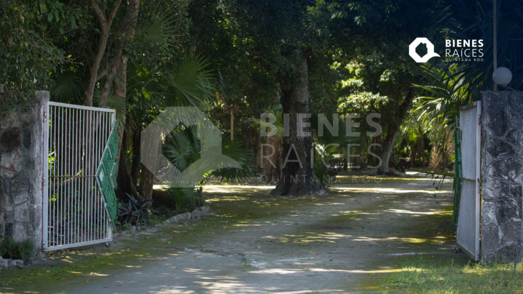 Jardín Botánico Dr. Alfredo Barrera Marín Agencia Inmobiliaria Bienes Raíces Quintana Roo Real Estate