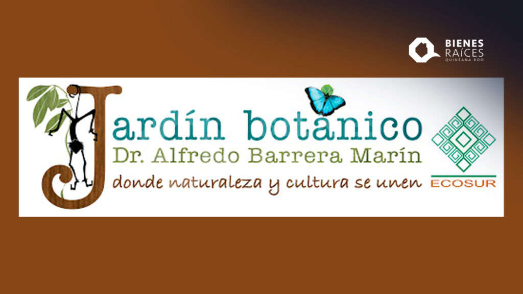 Jardin-Botanico-Dr-Alfredo-Barrera-Marin-Puerto-Morelos-Agencia-Inmobiliaria-Bienes-Raices-Quintana-Roo-Real-Estate10