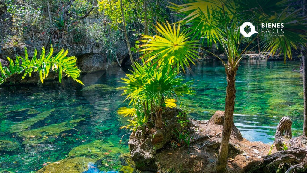 Ruta de los Cenotes Agencia Inmobiliaria Bienes Raíces Quintana Roo Real Estate