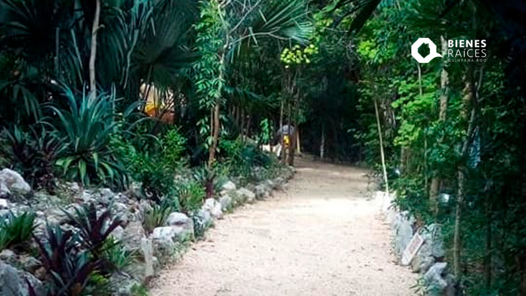 Parque-La-Ceiba-Playa-del-Carmen-Agencia-Inmobiliaria-Bienes-Raices-Quintana-Roo-Real-Estate2