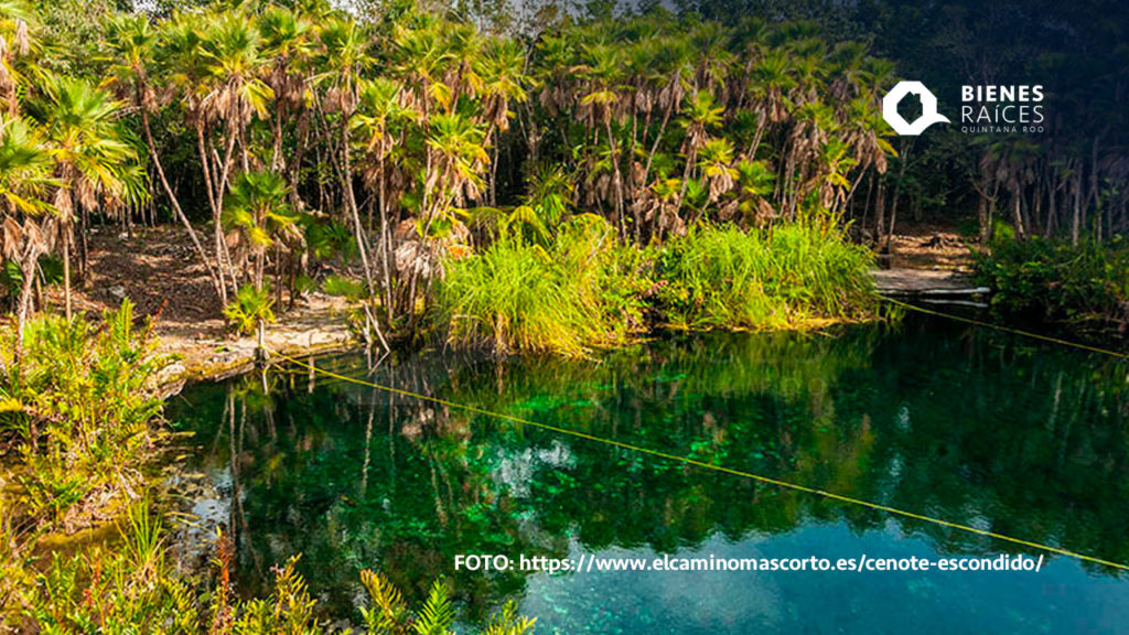 Cenote-Escondido-Tulum-Agencia-Inmobiliaria-Bienes-Raices-Quintana-Roo-Real-Estate3