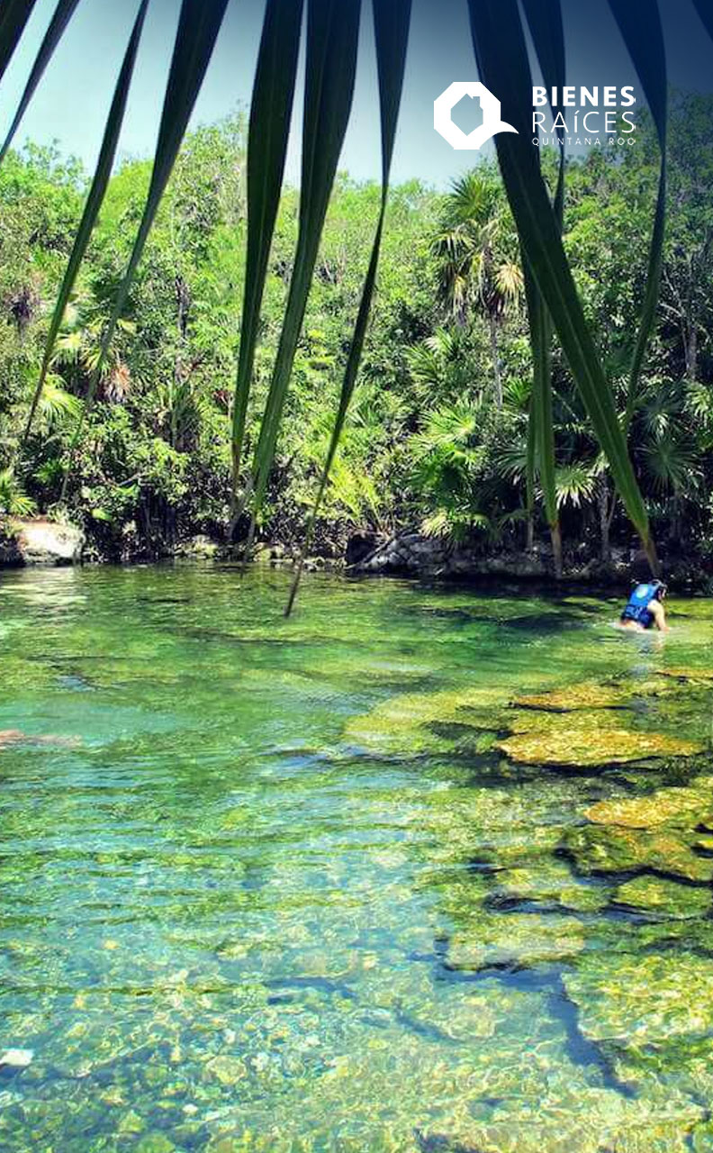 Cenote-Santa-Cruz-Tulum-Agencia-Inmobiliaria-Bienes-Raices-Quintana-Roo-Real-Estate-V5