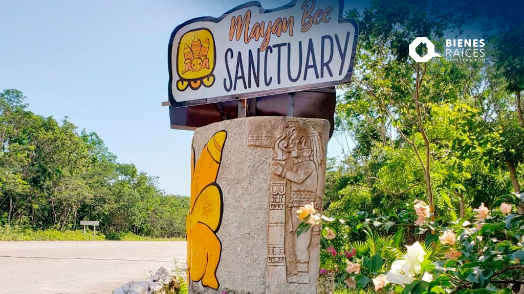 Mayan-Bee-Sanctuary-Cozumel-Agencia-Inmobiliaria-Bienes-Raices-Quintana-Roo-Real-Estate5