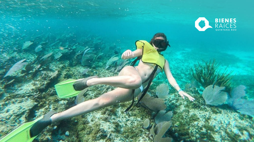 Cozumel mejor destino de buceo - QUÉ HACER EN COZUMEL - ¡Vamos!