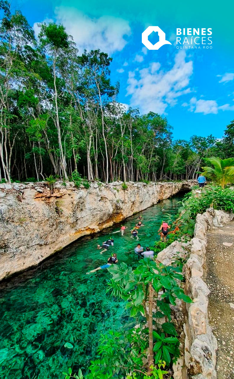 diapositiva cerrar mordaz Cenotes Casa Tortuga Tulum - QUÉ HACER - Sumérgete en la naturaleza