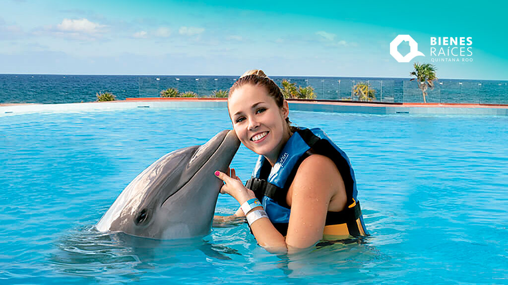 Descubre tu destino ideal en Quintana Roo, Dolphin Blog Dolphin Discovery