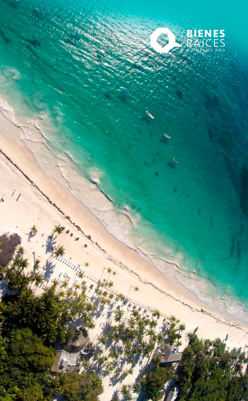 Playa Paraíso Tulum - QUÉ HACER - Conoce una de las mejores playas