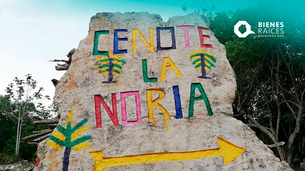 CENOTE-LA-NORIA-Que-hacer-en--PUERTO-MORELOS-Agencia-Inmobiliaria-Bienes-Raíces-Quintana-Roo-Real-Estate-V1