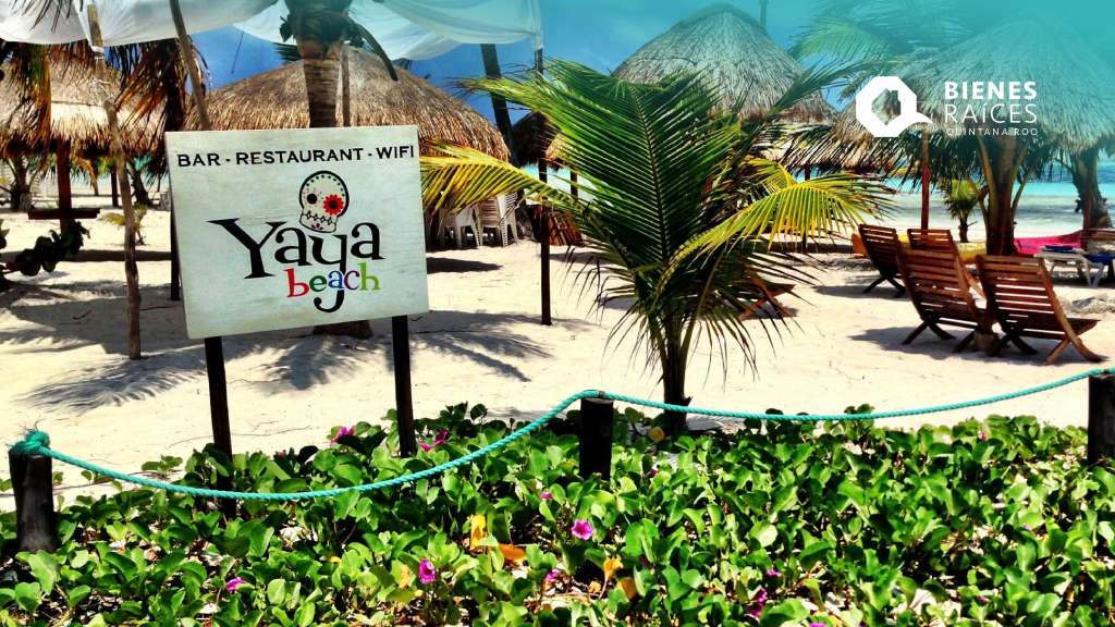 YAYA-BEACH-CLUB-MAHAHUAL-Que-hacer-Agencia-Inmobiliaria-Bienes-Raíces-Quintana-Roo-Real-Estate-V1