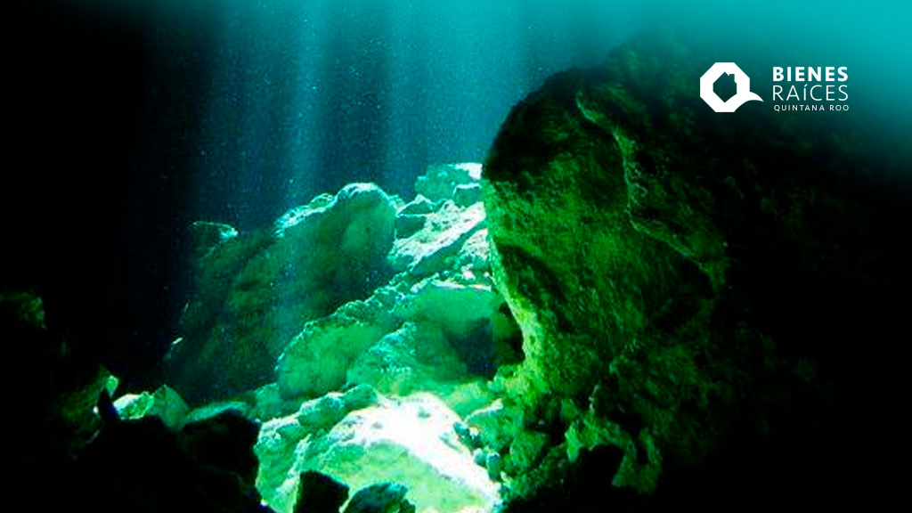 CENOTE-TAJMA-HA-DIVECENTER-Puerto-Morelos-Agencia-Inmobiliaria-Bienes-Raíces-Quintana-Roo-Real-Estate-Diving-V4