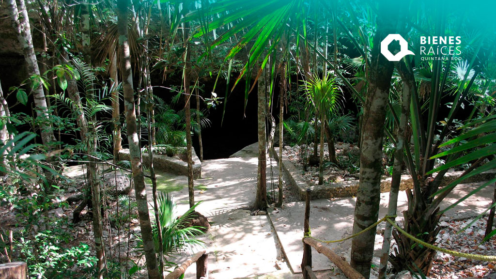 CENOTE-TAJMA-HA-DIVECENTER-Puerto-Morelos-Agencia-Inmobiliaria-Bienes-Raíces-Quintana-Roo-Real-Estate-Diving-V4