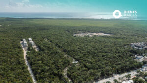 Tulum-Land-for-Sale-Agencia-Inmobiliaria-Bienes-Raíces-Quintana-Roo-Real-Estate-bosque-Riviera-Maya11