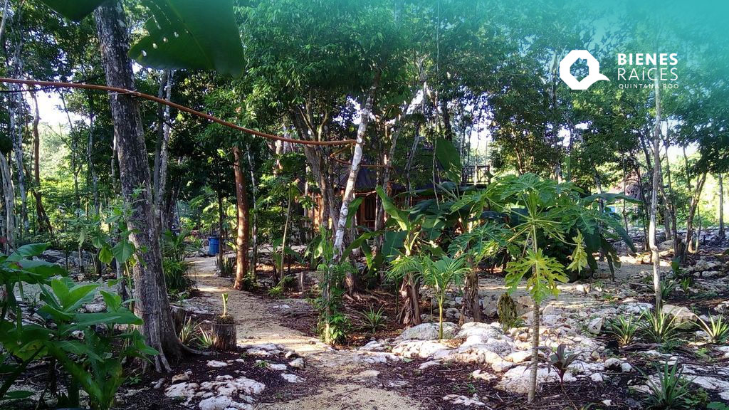 Lotes-en-venta-Francisco-Uh-May-Agencia-Inmobiliaria-Bienes-Raíces-Quintana-Roo-Real-Estate-lula-sanctuary-Riviera-Maya-tulum-lots-for-sale1