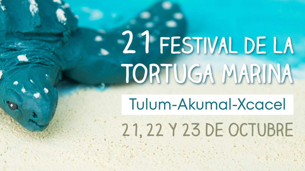 21-Festival-de-la-Tortuga-Marina-Tulum-Agencia-Inmobiliaria-Bienes-Raíces-Quintana-Roo-Real-Estate-Riviera-Maya-What-to-do-in-Tulum-V7