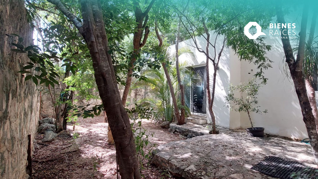 Casa-en-venta-en-Tulum-Agencia-Inmobiliaria-Bienes-Raíces-Quintana-Roo-Real-Estate-veleta-Riviera-Maya-Tulum-house-for-sale1