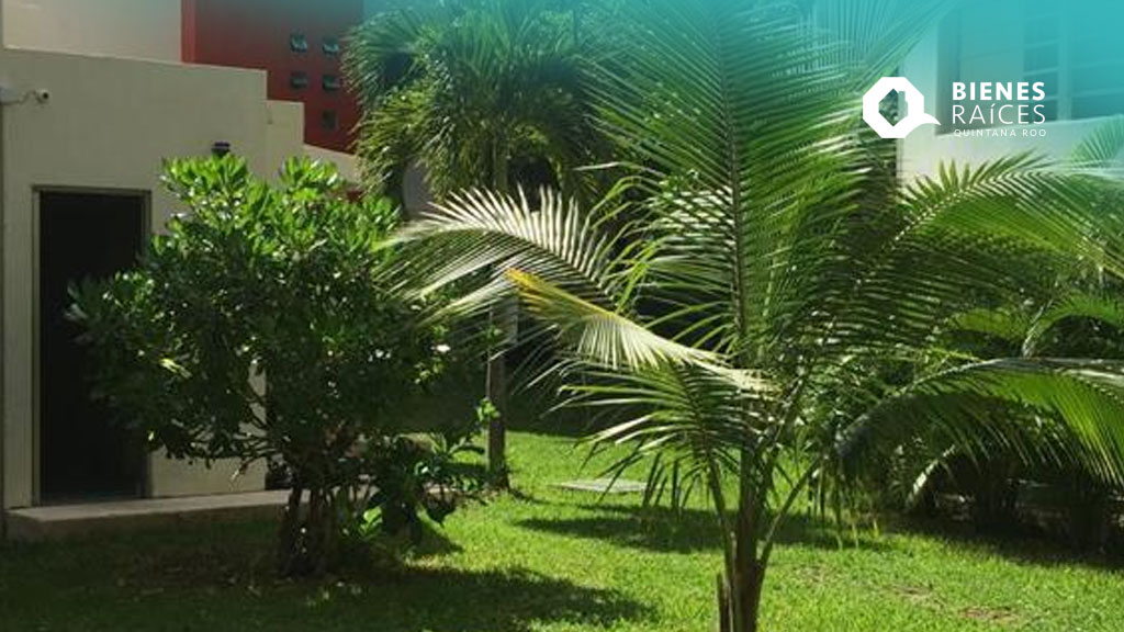 Departamento-en-venta-Playa-del-Carmen-Agencia-Inmobiliaria-Bienes-Raíces-Quintana-Roo-Real-Estate-residencial-palmeira-Riviera-Maya-Playa-del-Carmen-Apartment-for-sale1