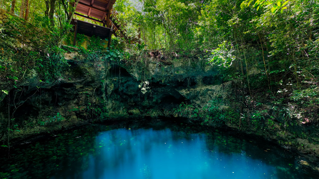 Cenotes-Zapote-Prehistoric-Park-Agencia-Inmobiliaria-Bienes-Raíces-Quintana-Roo-Real-Estate-Que-hacer-en-Puerto-Morelos-Riviera-Maya-cenotes-V9