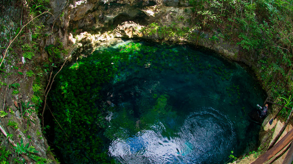 Cenotes-Zapote-Prehistoric-Park-Agencia-Inmobiliaria-Bienes-Raíces-Quintana-Roo-Real-Estate-Que-hacer-en-Puerto-Morelos-Riviera-Maya-cenotes-V9
