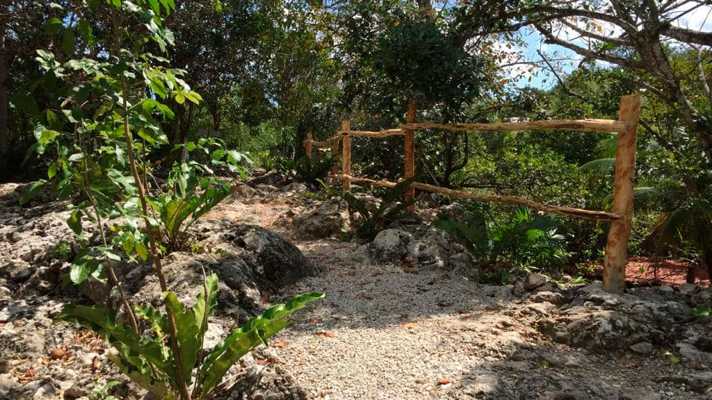 Cenote-Nohoch-Nah-Chich-buceo-Agencia-Inmobiliaria-Bienes-Raíces-Quintana-Roo-Real-Estate-akumal-Riviera-Maya-tulum-diving-V8