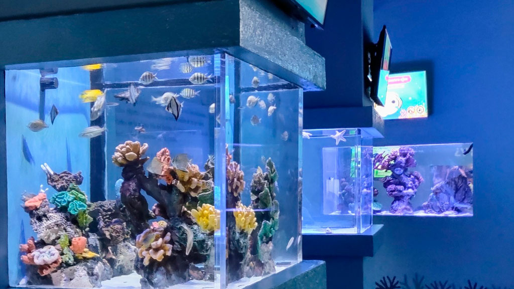 Interactive-Aquarium-Cancún-y-el-ajolote-Agencia-Inmobiliaria-Bienes-Raíces-Quintana-Roo-Real-Estate-Riviera-Maya-What-to-do-in-Cancun-V3