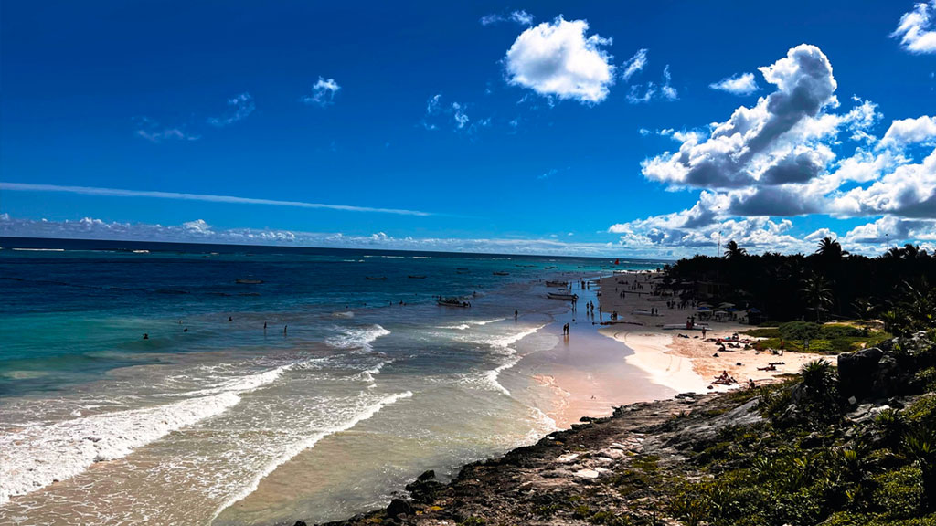 Nueva-librería-Parque-del-Jaguar-Tulum-Agencia-Inmobiliaria-Bienes-Raíces-Quintana-Roo-Real-Estate-Riviera-Maya-V5