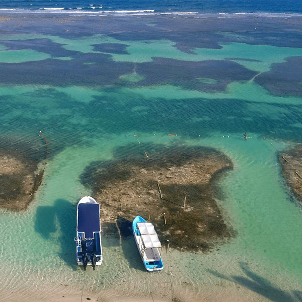 Mahahual landing Mahahual-Servicios-bici-Bienes-Raíces-Quintana-Roo-Real-Estate1