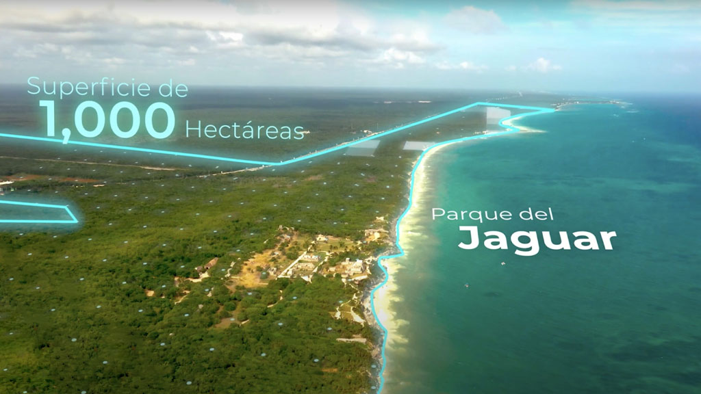 parque-de-jaguar-Agencia-Inmobiliaria-Bienes-Raíces-Quintana-Roo-Real-Estate-Riviera--h1