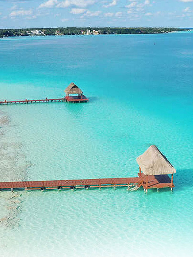 BACALAR 