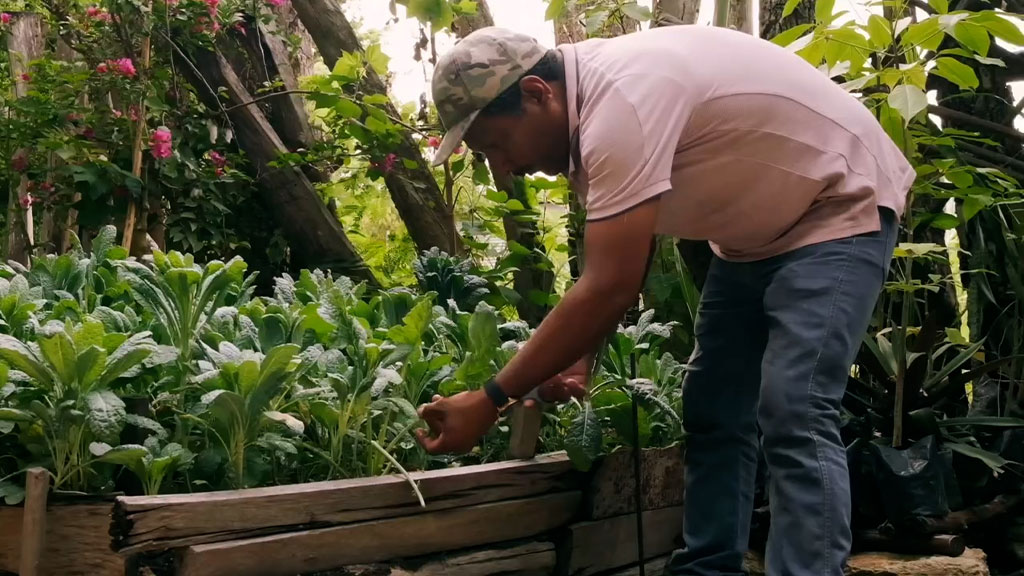 Bacalar-sede-de-la-cuarta-edición-del-Festival-Gastronómico-del-Caribe-Mexicano-Agencia-Inmobiliaria-Bienes-Raíces-Quintana-Roo-Real-Estate-Riviera-H1