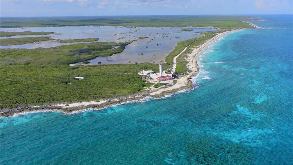 Cozumel-vivo-fest-edición-2025-Agencia-Inmobiliaria-Bienes-Raíces-Quintana-Roo-Real-Estate-Riviera-H2
