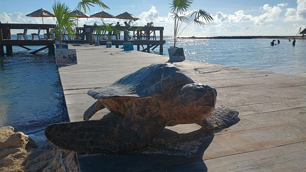 Reto-Naturalista-Urbano-Agencia-Inmobiliaria-Bienes-Raíces-Quintana-Roo-Real-Estate-Riviera-H2
