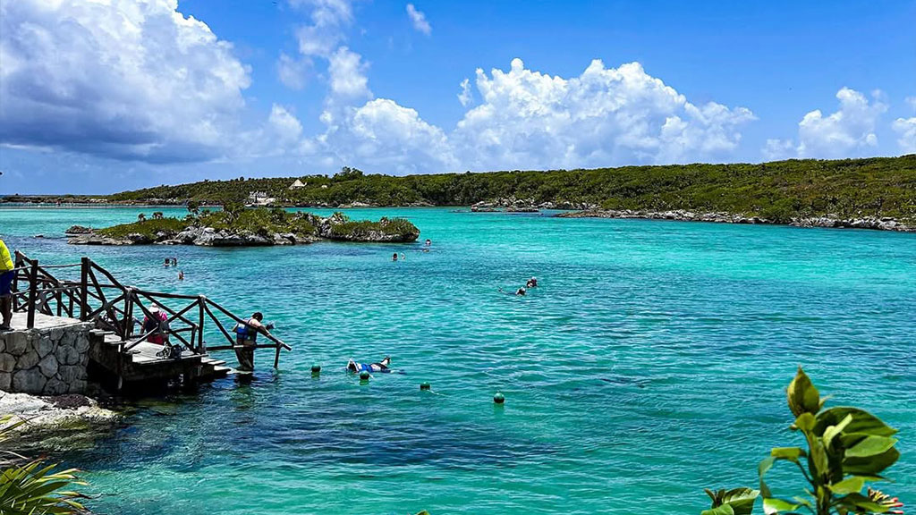 Xel-Há-te-invita-a-nadar-entre-manatíes-Agencia-Inmobiliaria-Bienes-Raíces-Quintana-Roo-Real-Estate-Riviera-H2